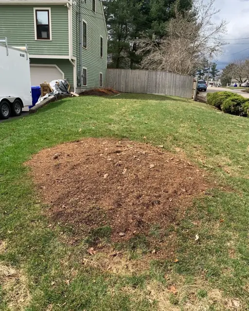Side yard after stump grinding with wood chips raked over the work area
